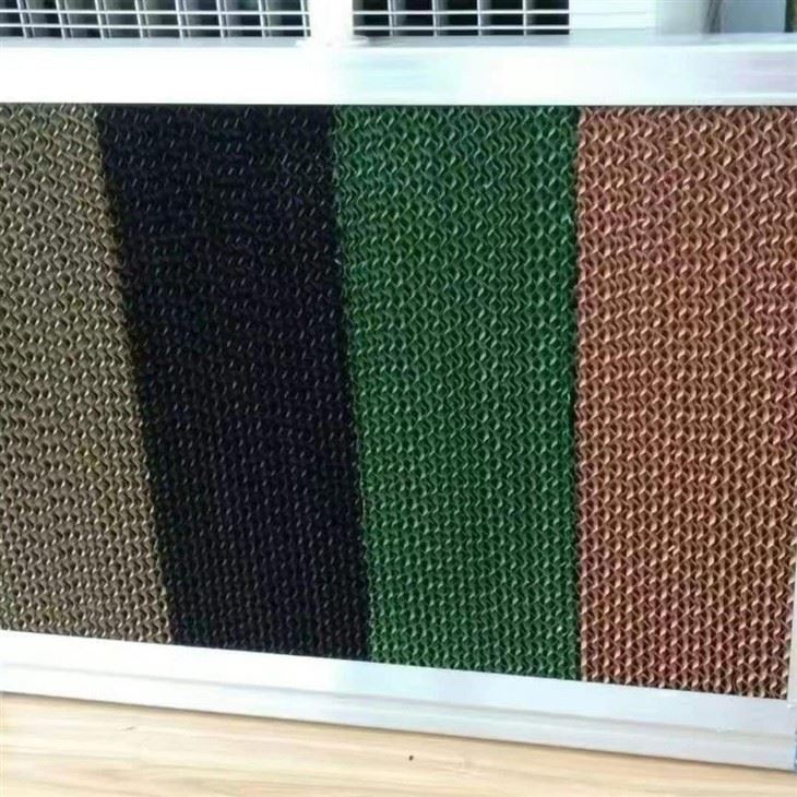 474762179_631037766273913_5707942216621854056_n